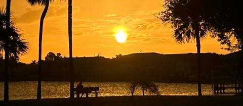 Sunset Fest at Four Freedoms Park